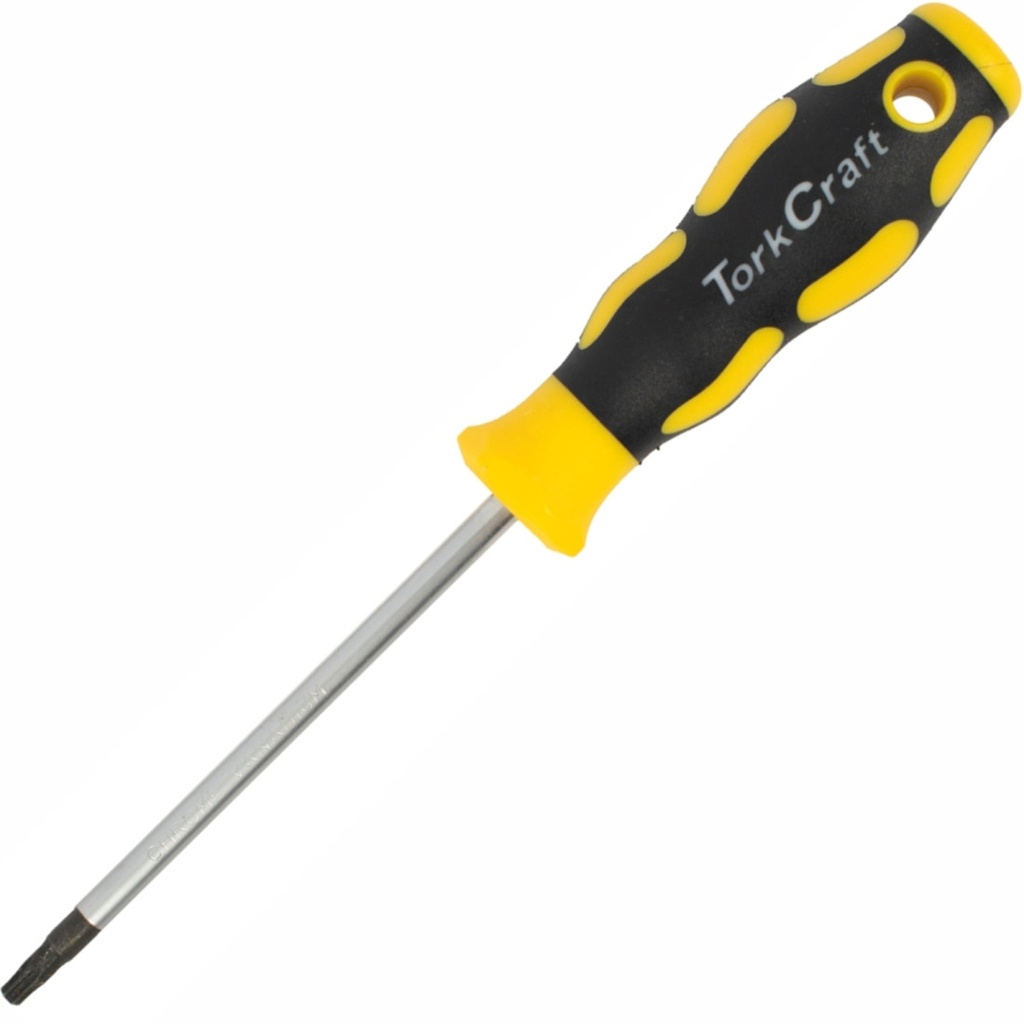 Screwdriver Precision T20 x 100mm Torx   